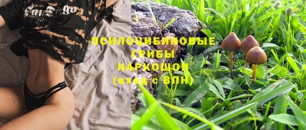 соль ск Гусь-Хрустальный