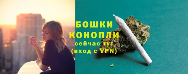 соль ск Гусь-Хрустальный