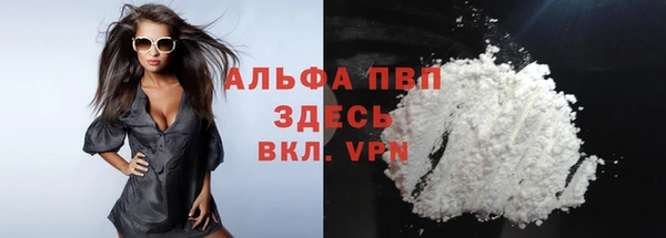 прущий лед Гусев