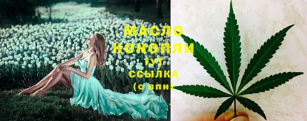 прущий лед Гусев