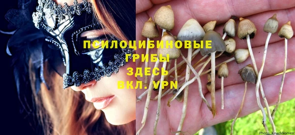 соль ск Гусь-Хрустальный