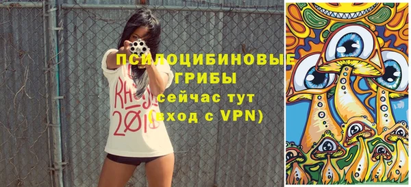 прущий лед Гусев