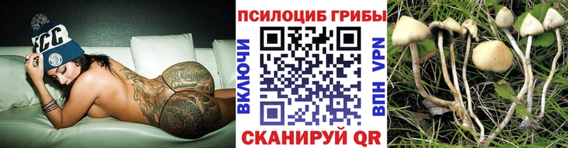 Псилоцибиновые грибы мицелий  Купить закладки  Зеленодольск 